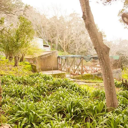 Almaa Hostel Sintra